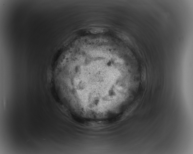 X0000087580367200705251846
