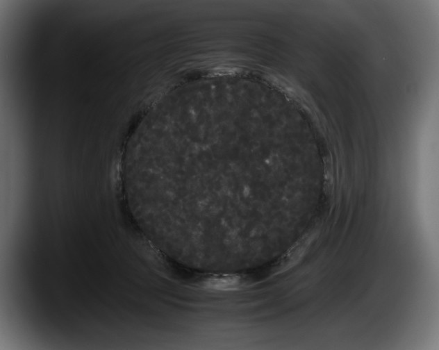 X0000087580369200705251846