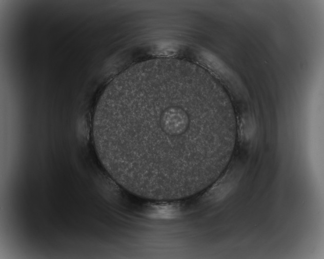 X0000087580370200705251846