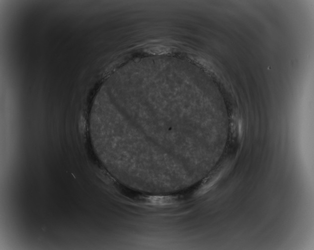 X0000087580371200705251846