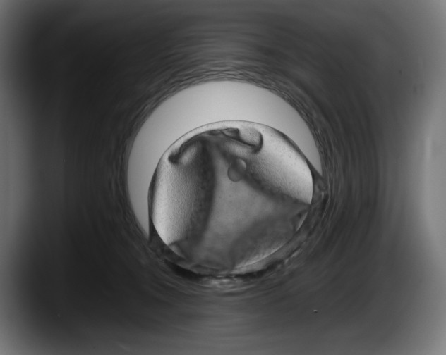 X0000087580372200705251846