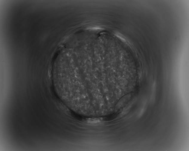 X0000087580373200705251846