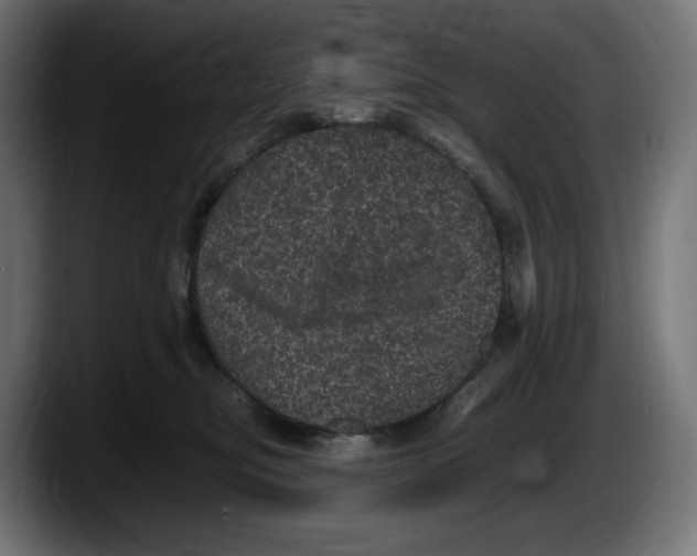 X0000087580374200705251846