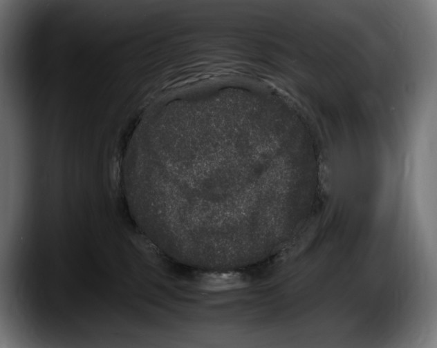 X0000087580375200705251846