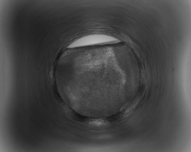 X0000087580377200705251846