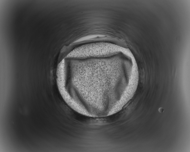 X0000087580378200705251846