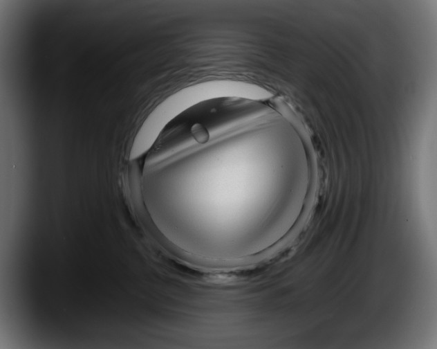 X0000087580380200705251846