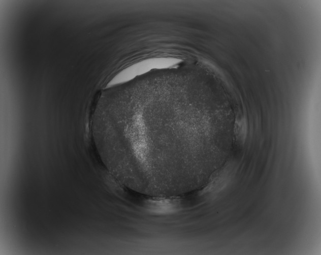 X0000087580381200705251846