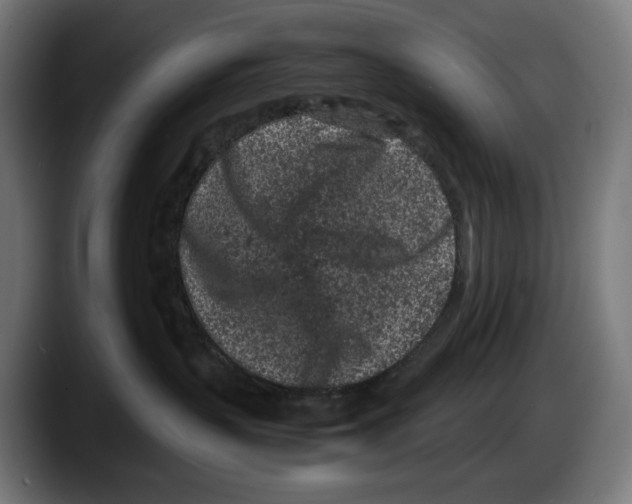 X0000087580383200705251846