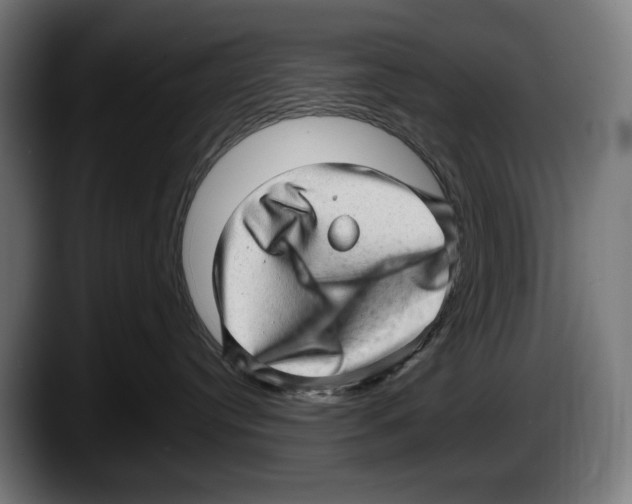 X0000087580384200705251846