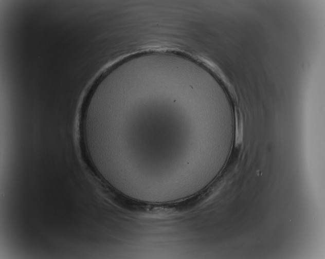 X0000087580387200705251845