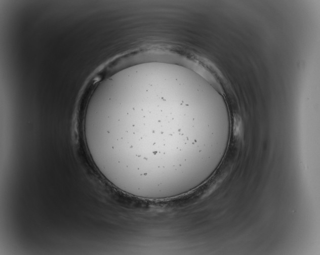X0000087580388200705251845