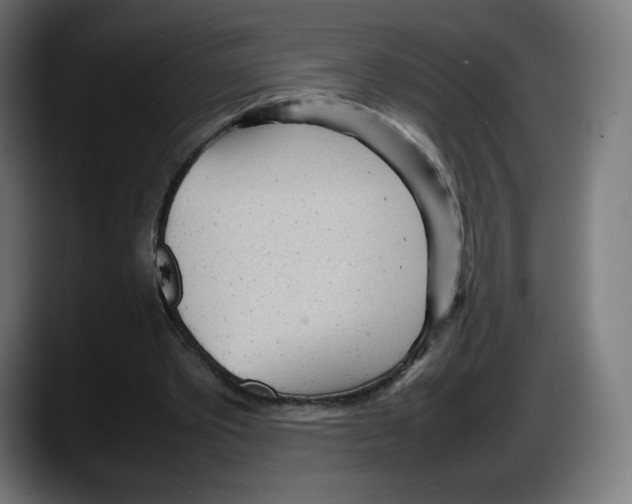 X0000087580389200705251845