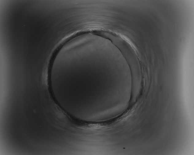 X0000087580391200705251845