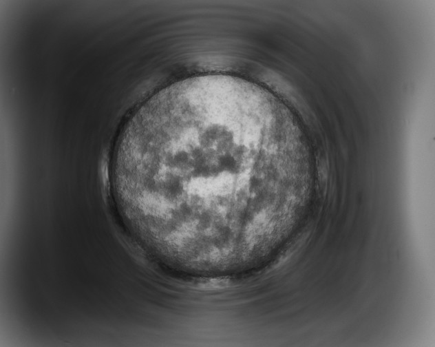 X0000087580398200705251845
