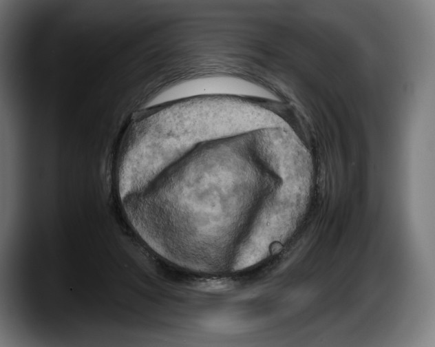 X0000087580402200705251845