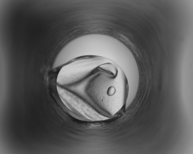 X0000087580405200705251845