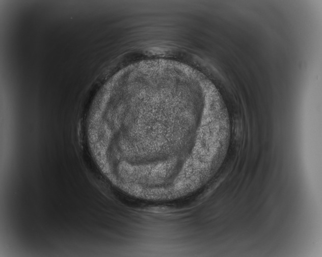 X0000087580408200705251845