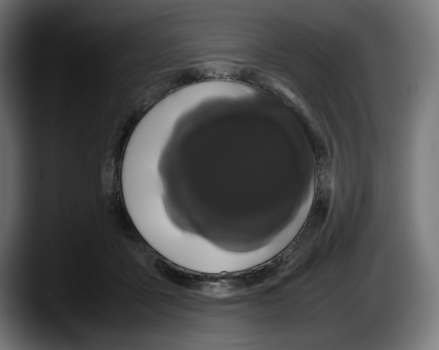 X0000087580411200705251845