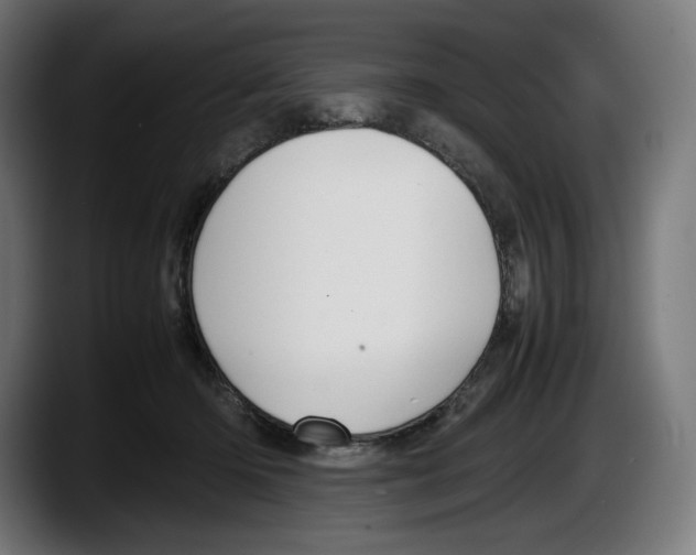 X0000087580414200705251845