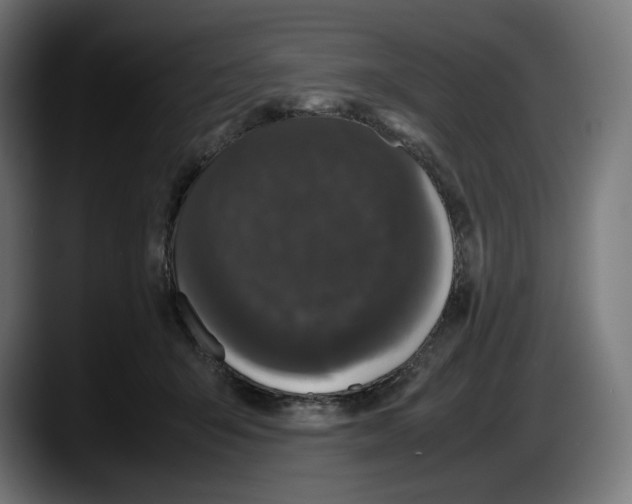 X0000087580415200705251845