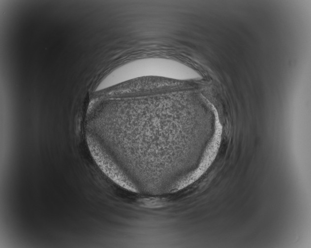 X0000087580417200705251845