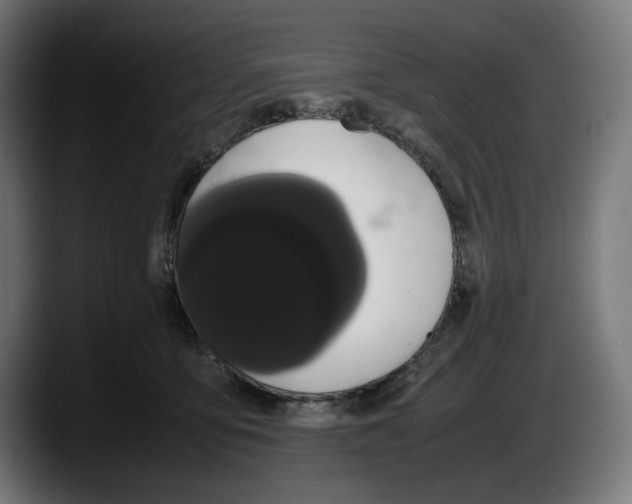 X0000087580419200705251845