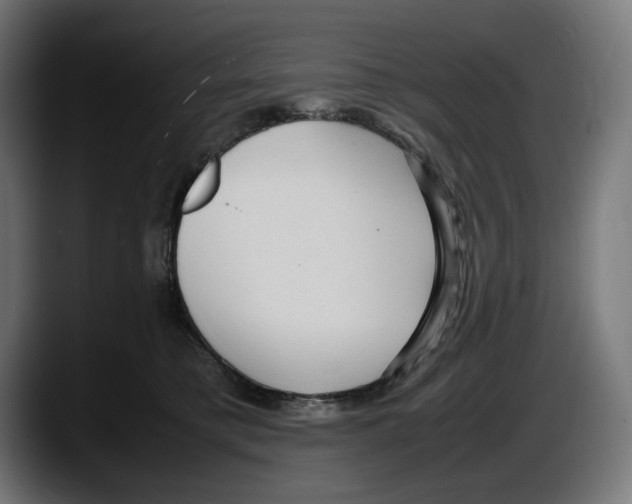 X0000087580421200705251845