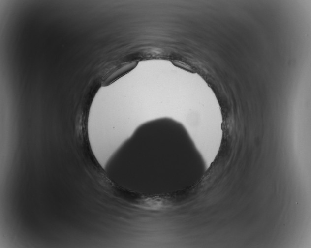 X0000087580423200705251845