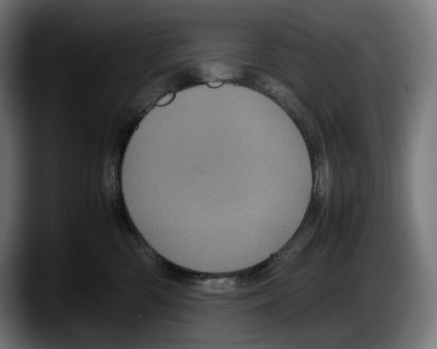 X0000087580426200705251845