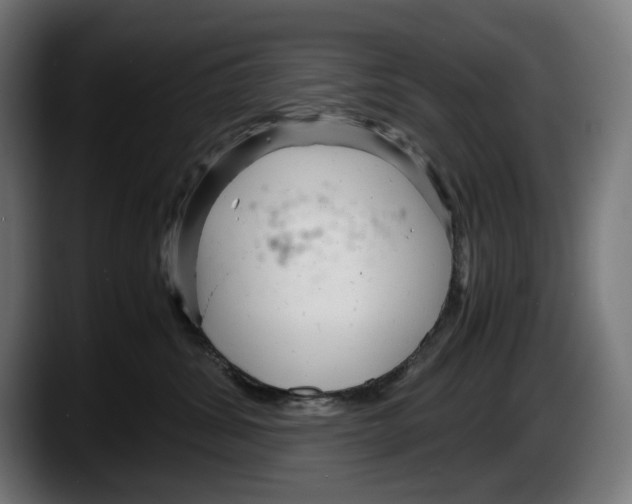 X0000087580428200705251845