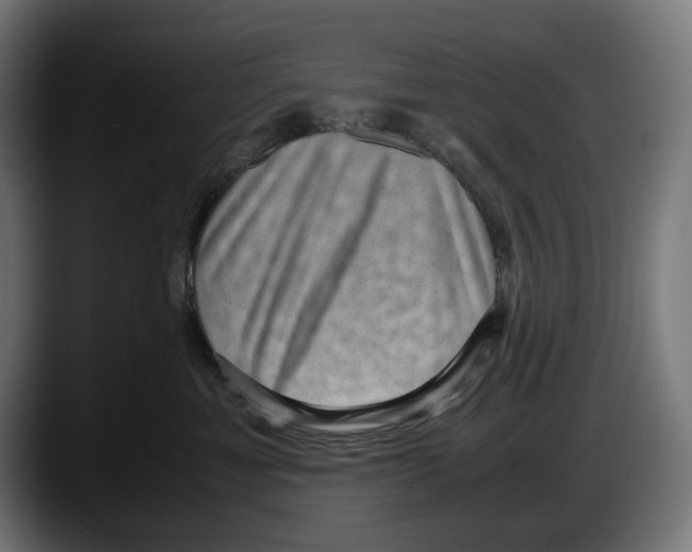 X0000087580429200705251845