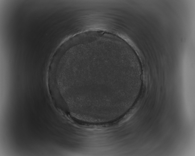 X0000087580434200705251844