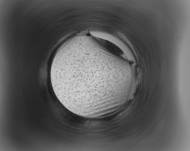 X0000087580435200705251844