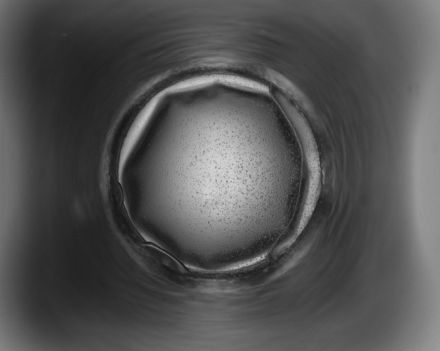 X0000087580436200705251844