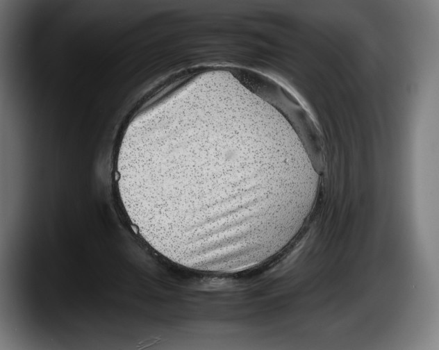 X0000087580437200705251844