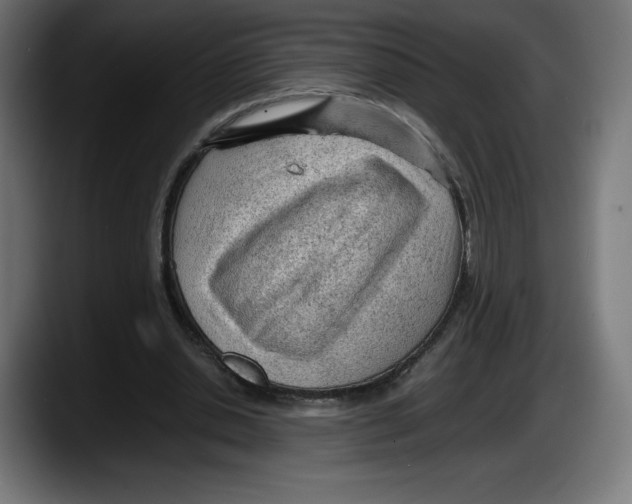 X0000087580438200705251844