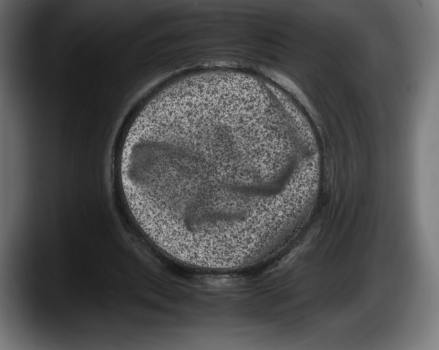 X0000087580439200705251844