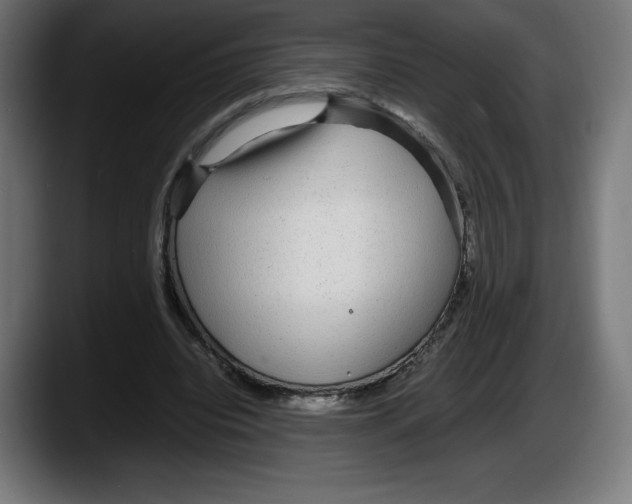 X0000087580440200705251844