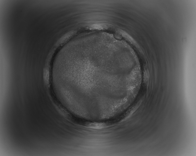 X0000087580444200705251844