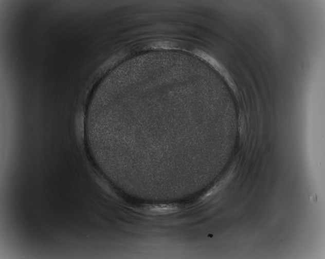 X0000087580445200705251844
