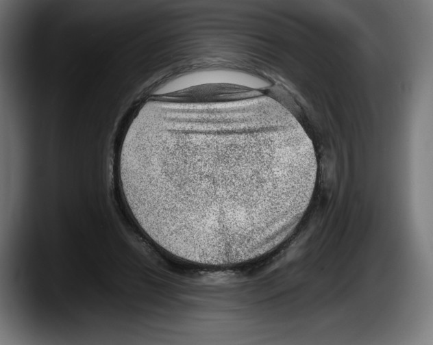 X0000087580446200705251844