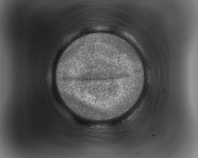 X0000087580447200705251844