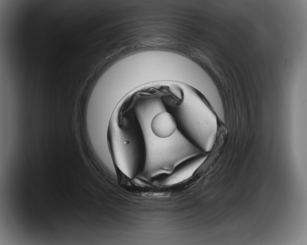 X0000087580448200705251844