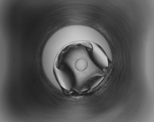 X0000087580450200705251844