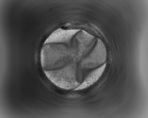 X0000087580451200705251844