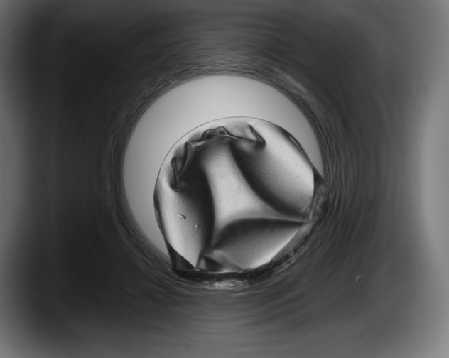 X0000087580452200705251844