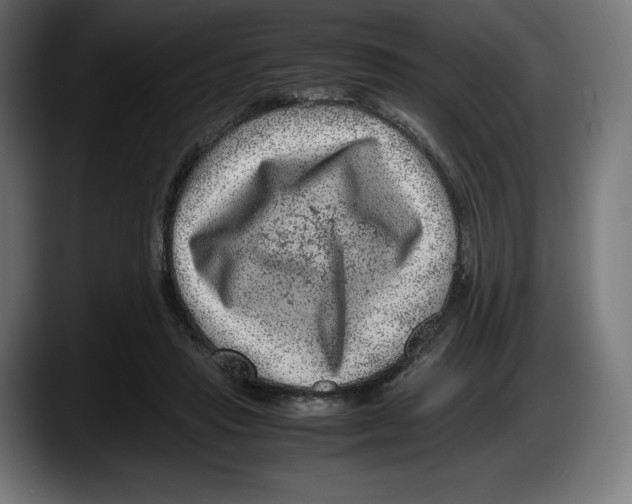 X0000087580453200705251844
