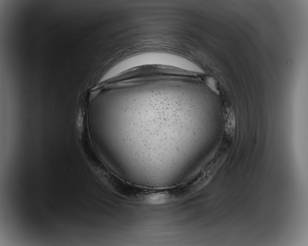 X0000087580456200705251844