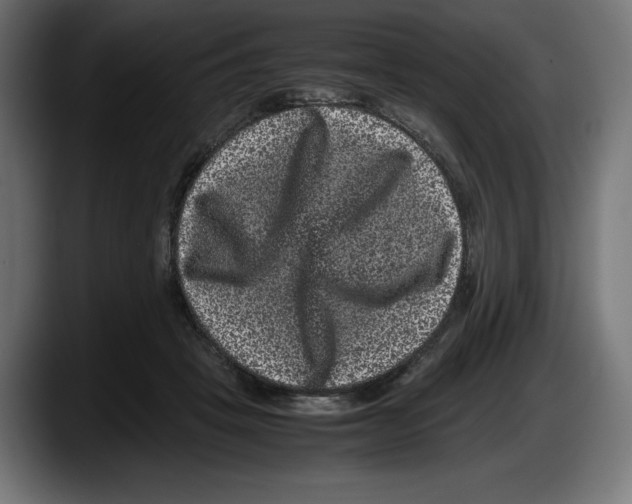 X0000087580457200705251844